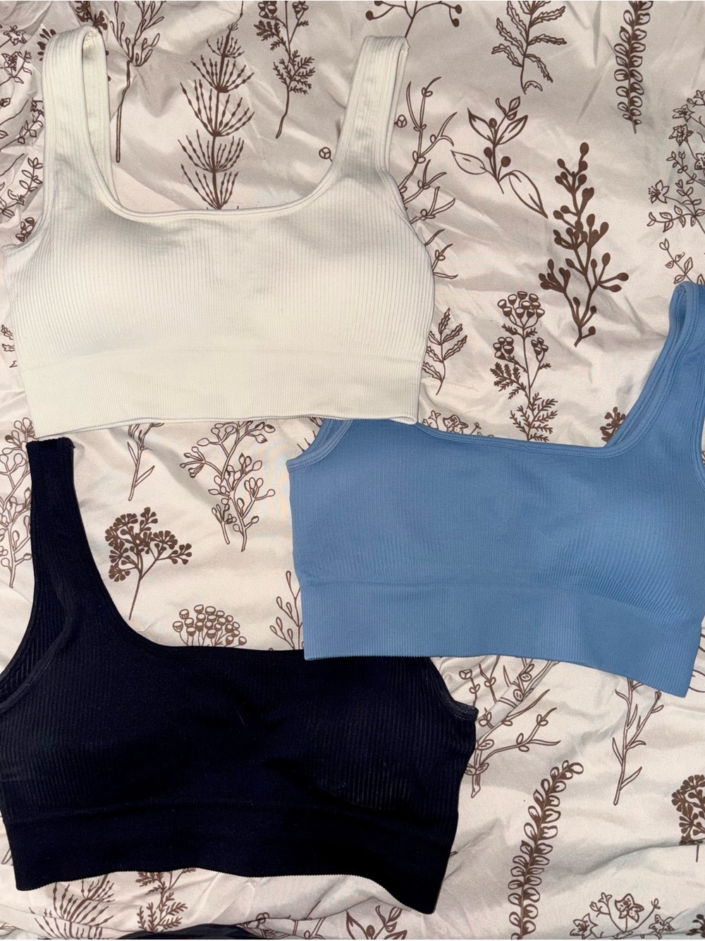 Ribbed Seamless Sports Bra - Cream, Light Blue, Black